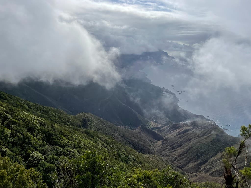 Banana plantation with Teide in the distance