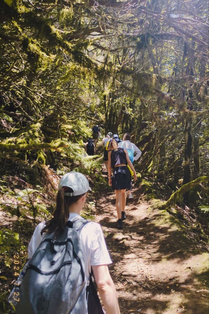 Group hiking a mossy forest trail