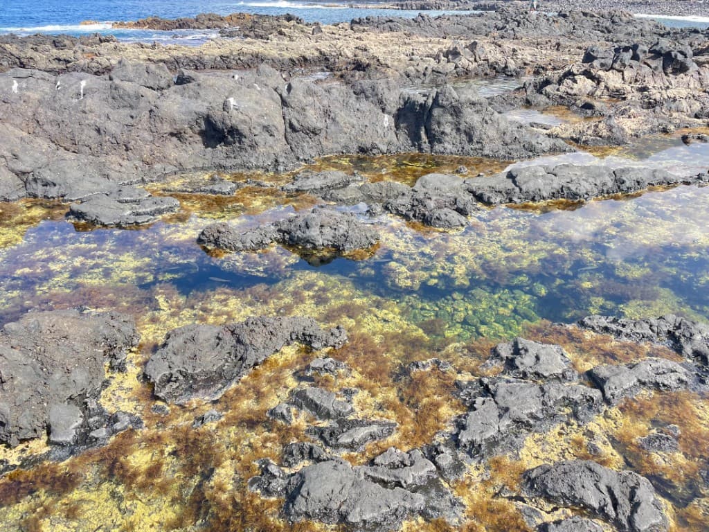 Clear tide pools in volcanic rock at Piscina natural de Jóver